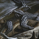 Illustration for article titled The 16 Strangest Dragons In Dungeons Dragons